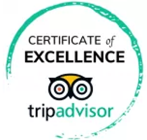 certificate of excellence icon